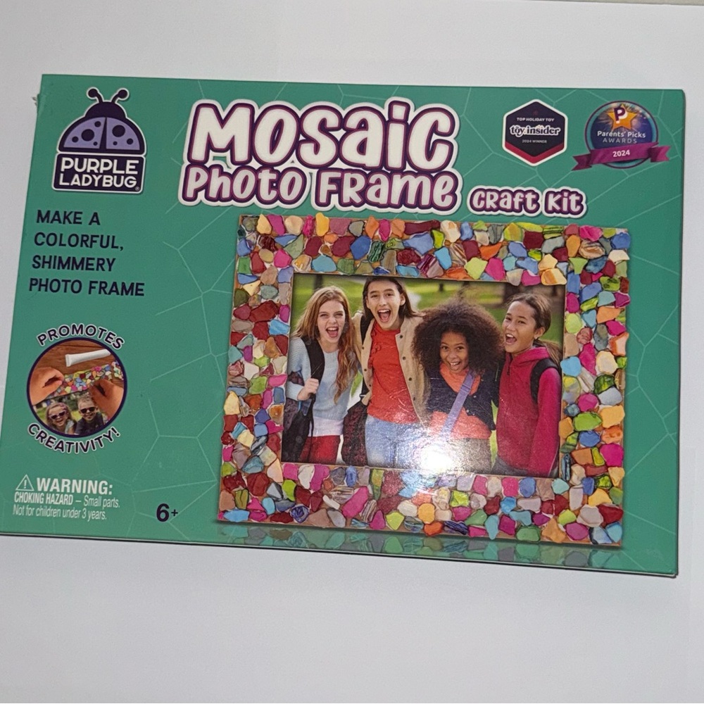 Purple Ladybug Mosaic Photo Frame Craft Kit Kids DIY Art Set 6+
